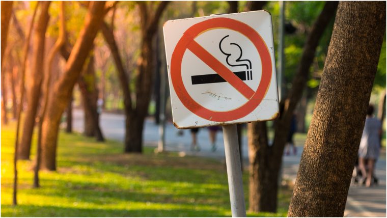 Primul oras din Romania interzice fumatul in parcuri