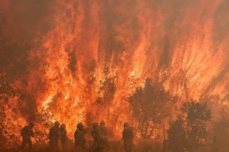 Roman decedat in incendiu in Spania salvand caii unui prieten