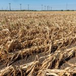 Romania se confrunta cu seceta severa din 13 ani