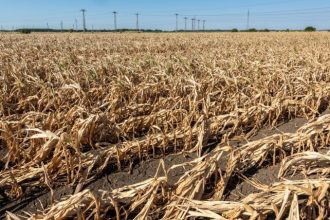 Romania se confrunta cu seceta severa din 13 ani