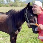 Scarto cal batut salvat de Protectia Animalelor Arges