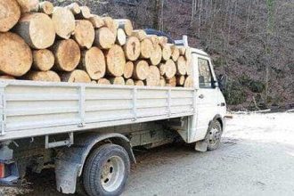 Tanar din Titeshti transporta lemne fara acte