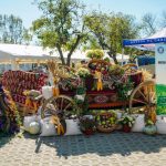 Targul Rod cu spor revine la Muzeul Golesti