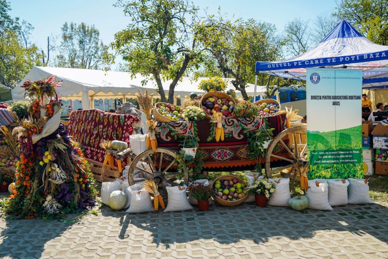 Targul Rod cu spor revine la Muzeul Golesti