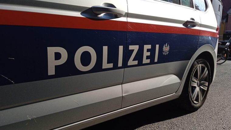 Un baiat roman de 8 ani a murit intr un accident in Austria