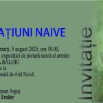 Vernisaj la Muzeul Judetean Arges Naratiuni naive