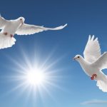 21 Septembrie Ziua Internationala a Pacii