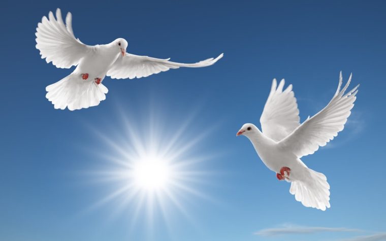 21 Septembrie Ziua Internationala a Pacii