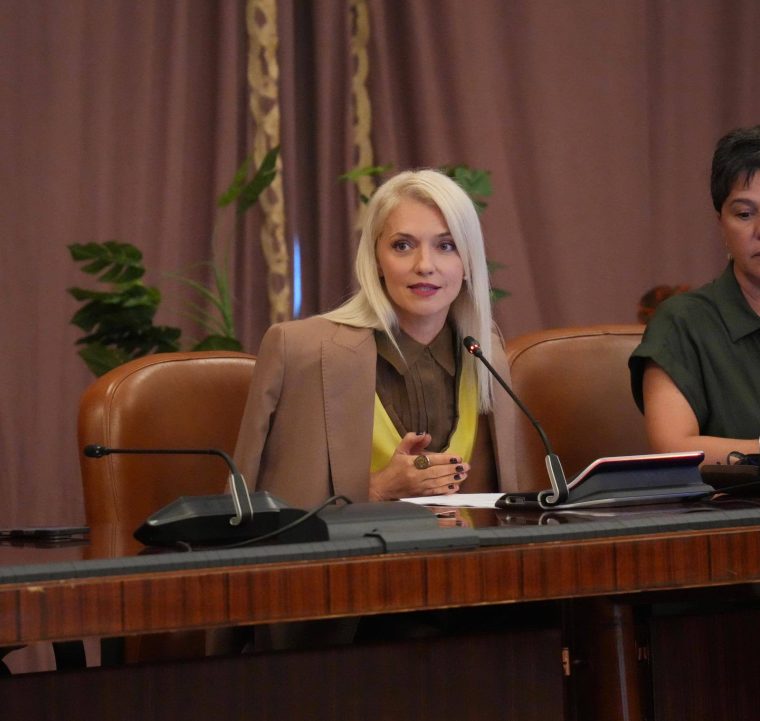 Alina Gorghiu cere Parlamentului o Declaratie anti violenta domestica