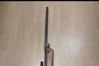 Arges Prins in timp ce vindea o arama la targ