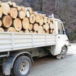 Arges Transporta mai mult lemn decat documentele legal justifica
