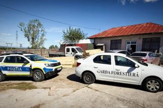 Argesean prins cu lemne fara acte justificative Ce amenda a primit