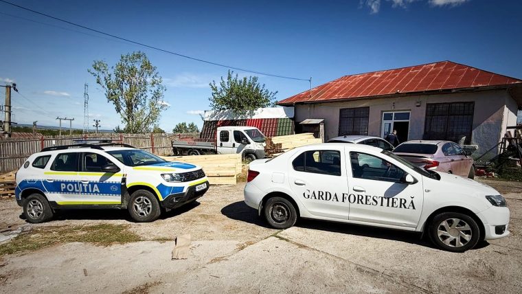 Argesean prins cu lemne fara acte justificative Ce amenda a primit