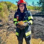 Arici salvat din incendiu de un tanar pompier