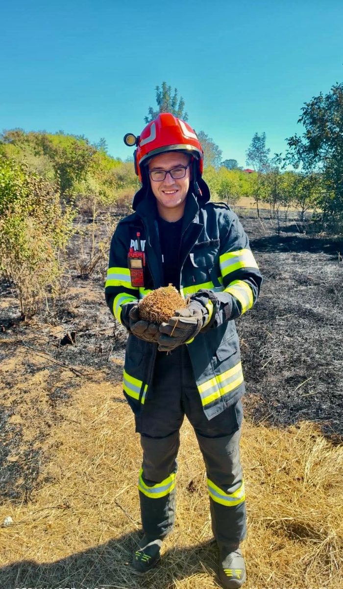 Arici salvat din incendiu de un tanar pompier