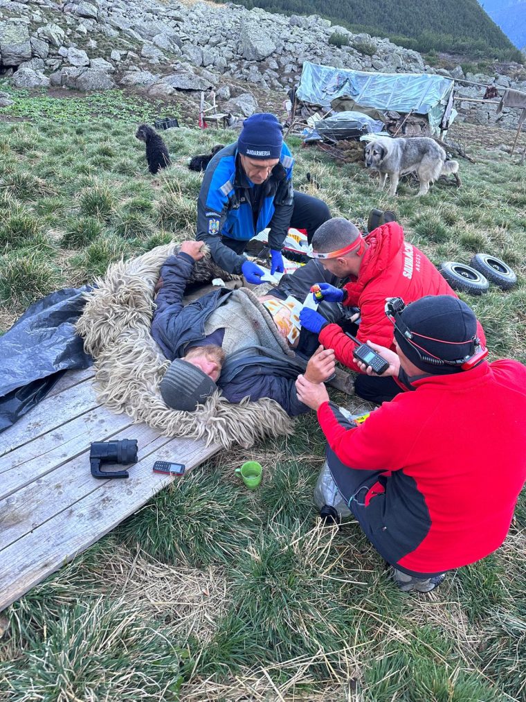 Cioban din Arges atacat de urs ranitul evacuat cu elicopterul