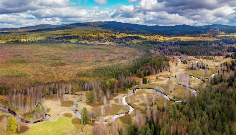 Cooperare intre Fundatia Conservation Carpathia si Parcul National Sumava