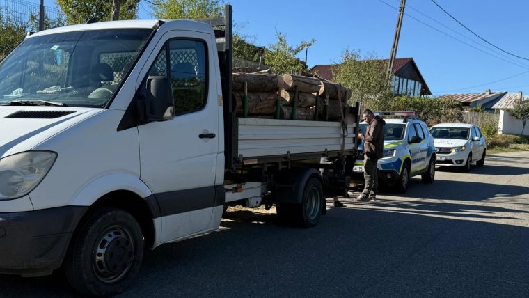Fara permis transporta lemne furate cu masina fara ITP