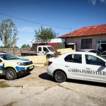 Inca un delict silvic in Arges Cumparati lemne ilegal in depozit