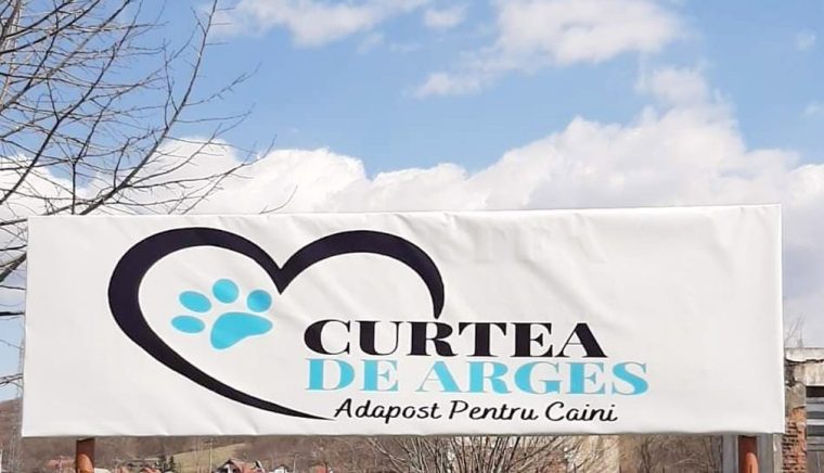 O noua campanie de sterilizare a animalelor la Curtea de Arges