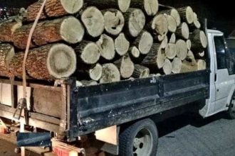 Piteshtean prins la Negrai cu lemne fara acte