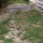 Pitesti Cat l a costat locul de parcare