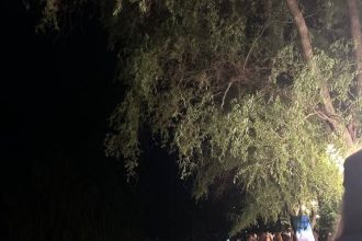 Pitesti Peste 1000 de copii s au bucurat de Seara Lampioanelor