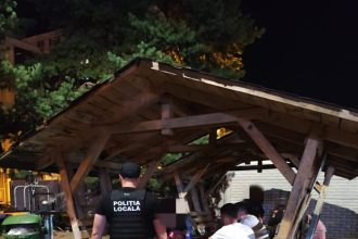 Politistii locals au aplicat 26 de amenzi in parcurile Pitestilor