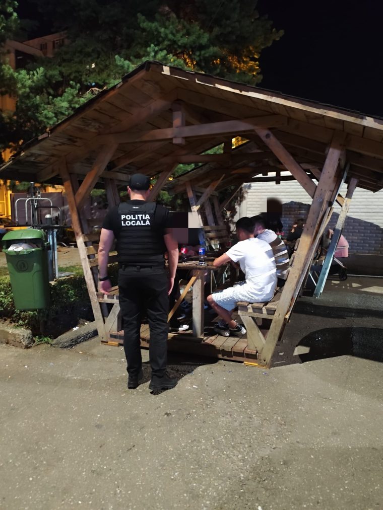 Politistii locals au aplicat 26 de amenzi in parcurile Pitestilor