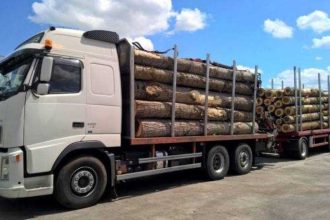 Prins cu lemne in plus in camion ce a fcut Poliia