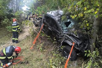Video Argesean gasit mort in masina lovita de copac