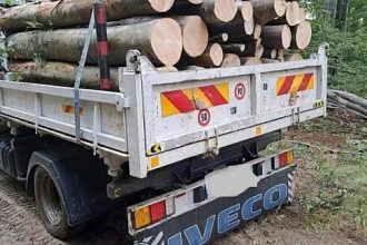 Arges Amenda de 5000 lei pentru transportator de lemne