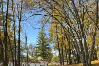 Canalizarea pluviala de pe strada Trivale a fost reabilitata