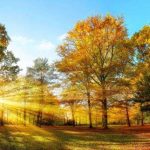 Meteorologii prevad temperaturi neobisnuite de ridicate pana in noiembrie