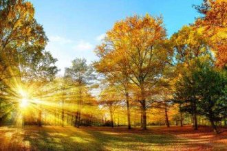 Meteorologii prevad temperaturi neobisnuite de ridicate pana in noiembrie