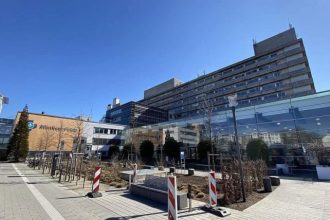 Neurochirurgul Alexandru Golesteanu nou stagiu in Germania