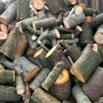 Rucar Peste 320 mc de lemne confiscate