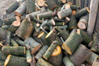 Rucar Peste 320 mc de lemne confiscate