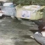 Video Surprinsi aruncand moloz la ghene in Trivale