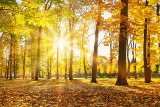 Vremea in weekend mai cald in sud est