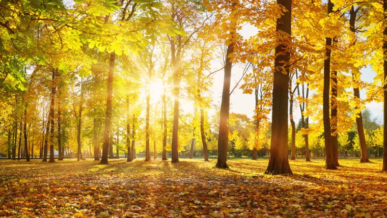 Vremea in weekend mai cald in sud est