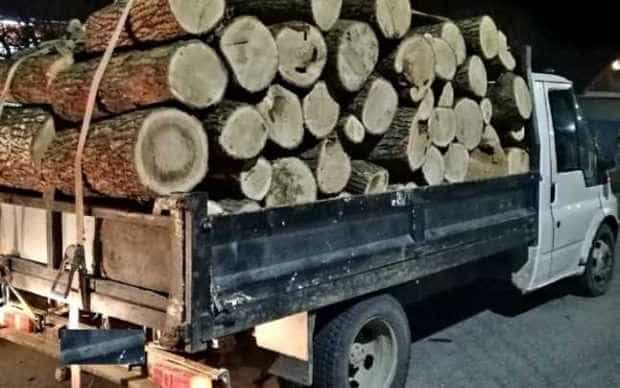 Argesean prins cu camion incarcat nejustificat cu lemne