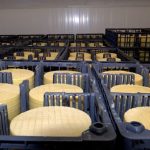 Branza romanesc premiata cu aur la un concurs din Elvetia