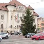 Campulungul decoreaza bradul de Craciun