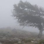 Cod galben de vant si precipitatii in Arges