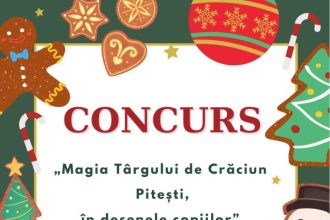 Concurs Magia Targului de Craciun Pitesti