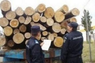Controale la firmele de exploatare forestiera din Hunedoara