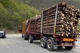 Dragoslavele Po liia depisteaz transport ilegal de lemne