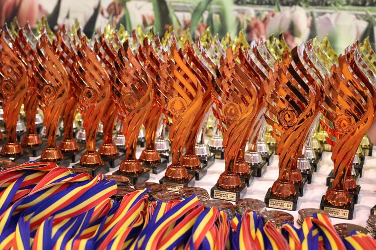 Festivalul National de Dans Romanian Dance Fest Pitesti o zi a performantei locale