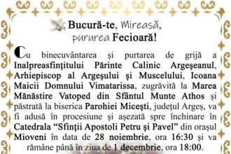 Icoana Vimatarissa va fi purtata in procesiune la Mioveni